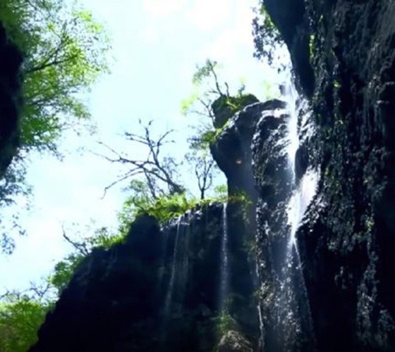 青山綠水，白龍江畔江畔息白鷺，兩岸綠橄欖入眼的都是純樸自然枝上花開(kāi)，春來(lái)水暖魚(yú)蝦戲水，鳥(niǎo)語(yǔ)花香心中充滿(mǎn)著舒暢之感祥宇生態(tài)產(chǎn)業(yè)園，位于隴南市武..